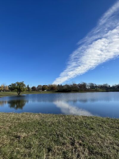 Robert T Jackson Clearwater Park - Mt Prospect, IL