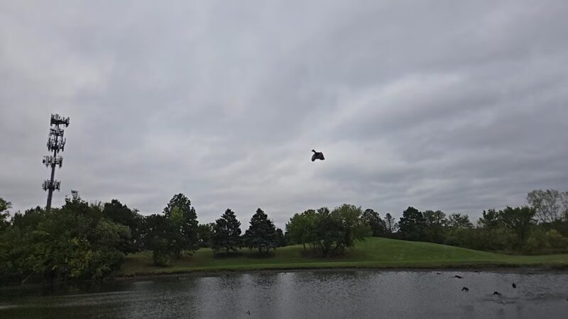 Robert T Jackson Clearwater Park - Mt Prospect, IL