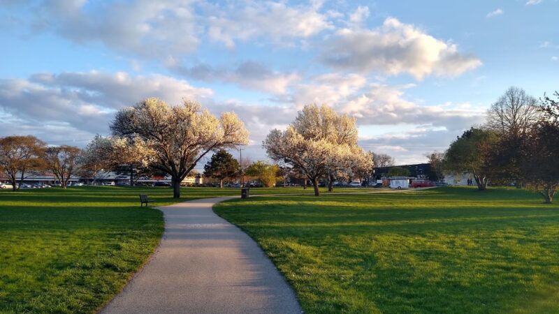 Robert T Jackson Clearwater Park - Mt Prospect, IL