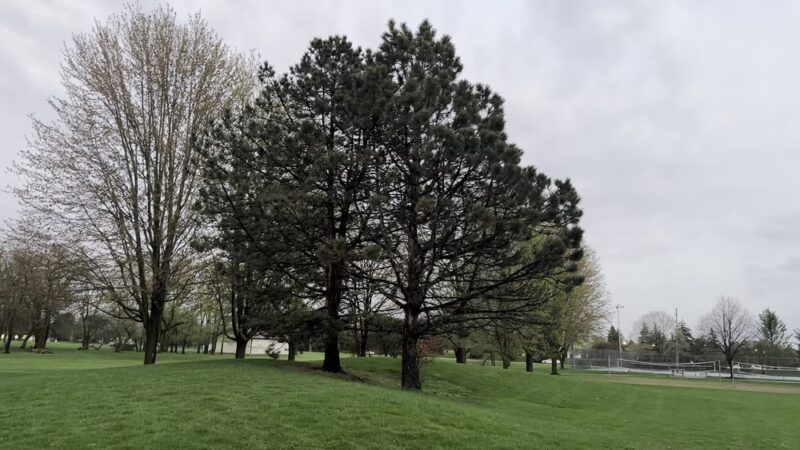 Sycamore Trails Park - Mt Prospect, IL