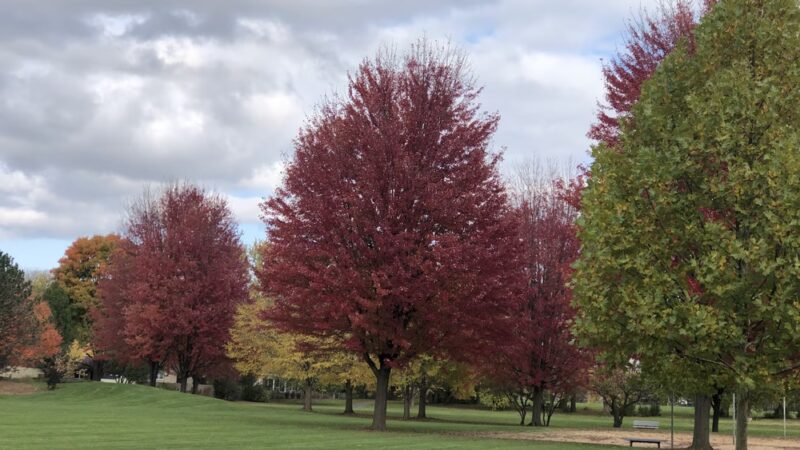 Sycamore Trails Park - Mt Prospect, IL