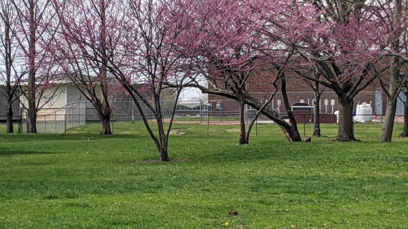 Tamarack Park - Mt Prospect, IL