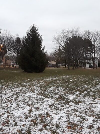 Tamarack Park - Mt Prospect, IL