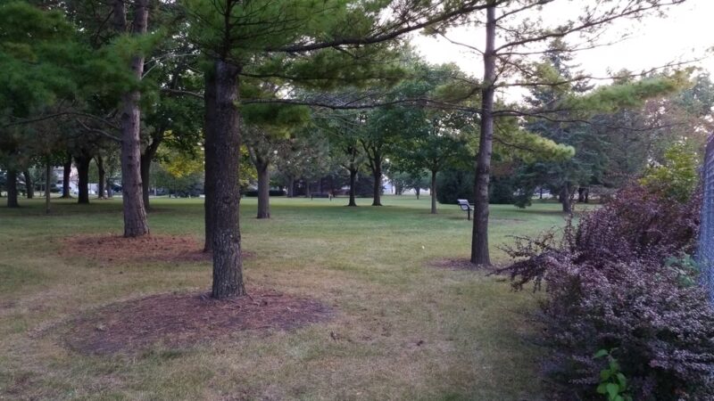 Tamarack Park - Mt Prospect, IL