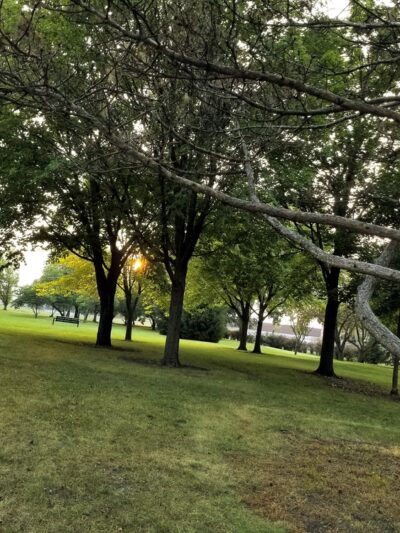 Tamarack Park - Mt Prospect, IL