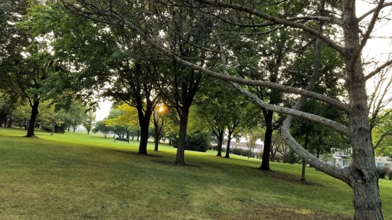 Tamarack Park - Mt Prospect, IL