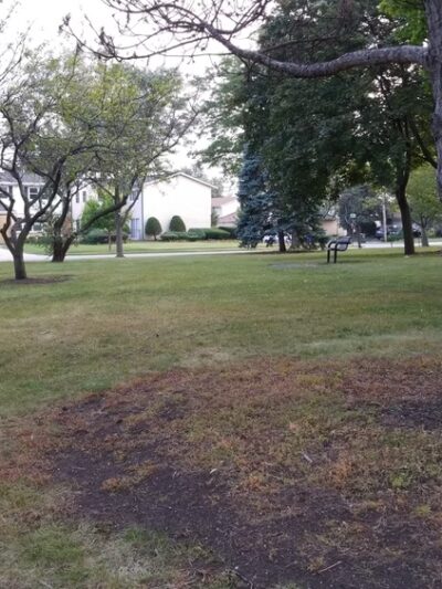 Tamarack Park - Mt Prospect, IL