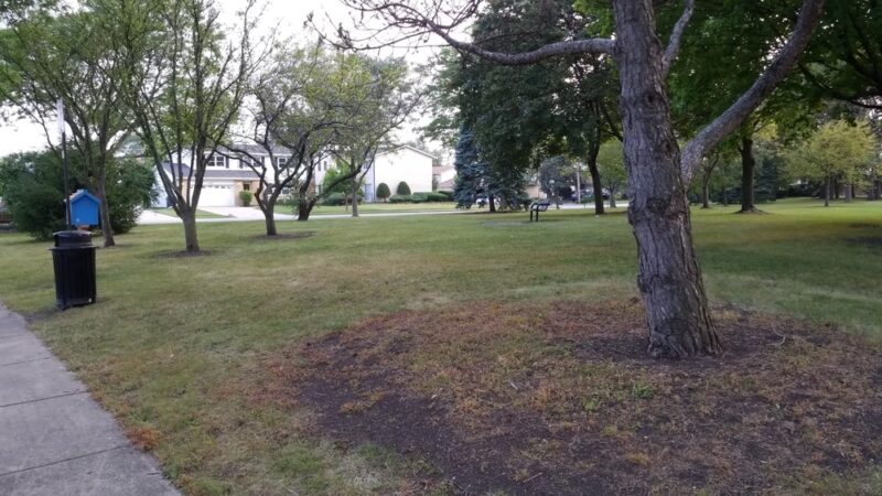 Tamarack Park - Mt Prospect, IL