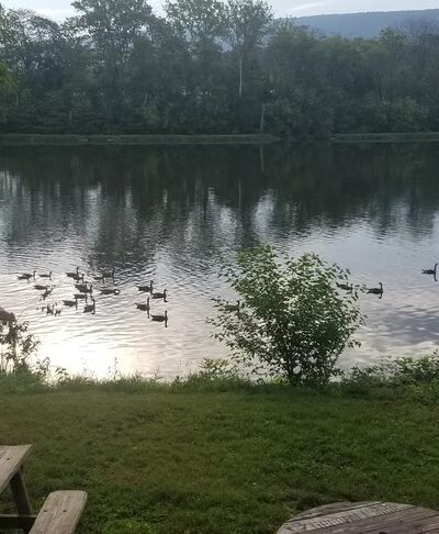 Bowser's Riverfront Campground - Mt Union, PA
