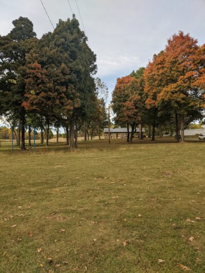 Ewing Park - Mt Vernon, MO