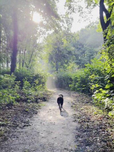 Hunt's Woods Park - Mt Vernon, NY