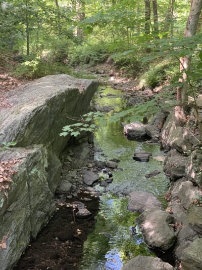 Hunt's Woods Park - Mt Vernon, NY