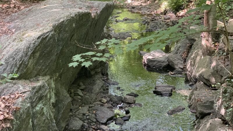 Hunt's Woods Park - Mt Vernon, NY