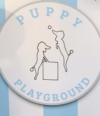 PuppyPlayground - Mt Vernon, NY