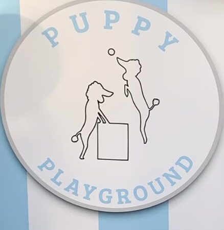 PuppyPlayground - Mt Vernon, NY