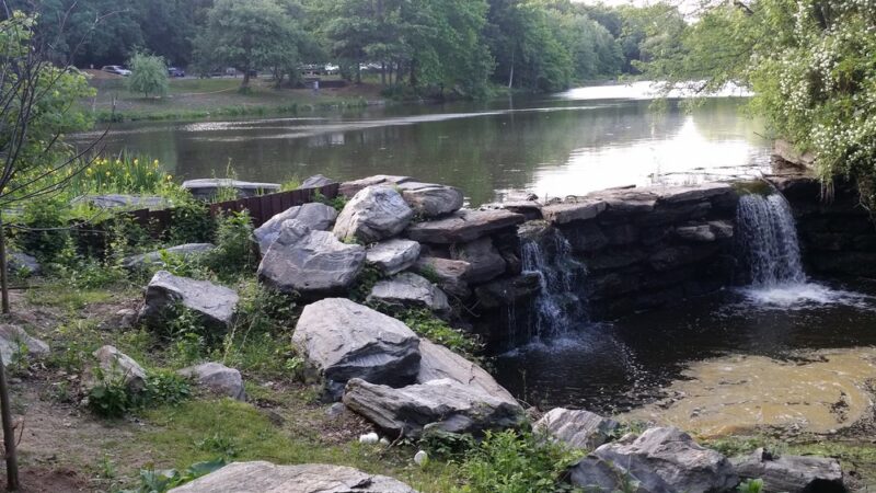 Willson’s Woods Park - Mt Vernon, NY