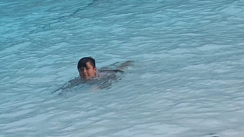 Wilson's Woods Swimming Pool - Mt Vernon, NY