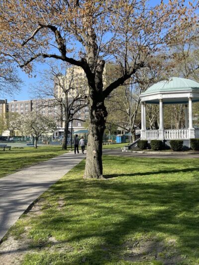 Hartley Park - Mt Vernon, NY