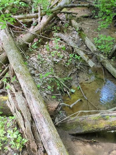 Wolf Run Regional Park - Mt Vernon, OH