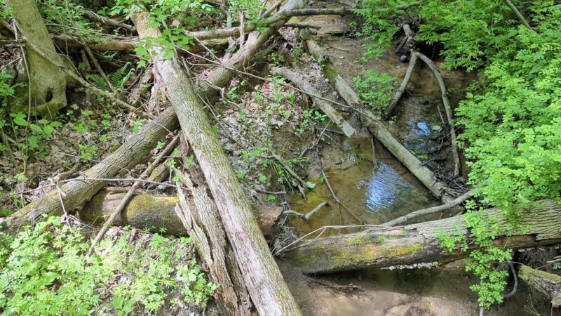 Wolf Run Regional Park - Mt Vernon, OH