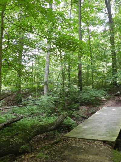 Wolf Run Regional Park - Mt Vernon, OH