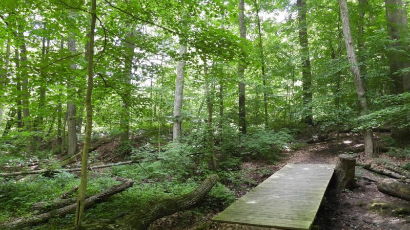 Wolf Run Regional Park - Mt Vernon, OH
