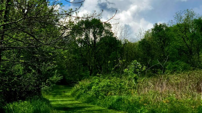 Wolf Run Regional Park - Mt Vernon, OH