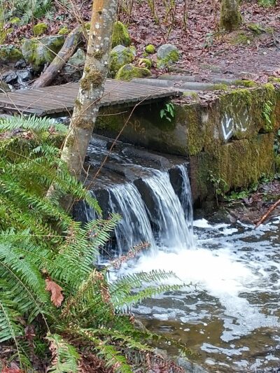 Japanese Gulch Dog Park Trailhead - Mukilteo, WA