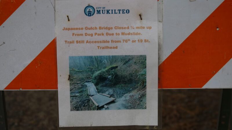 Japanese Gulch Dog Park Trailhead - Mukilteo, WA