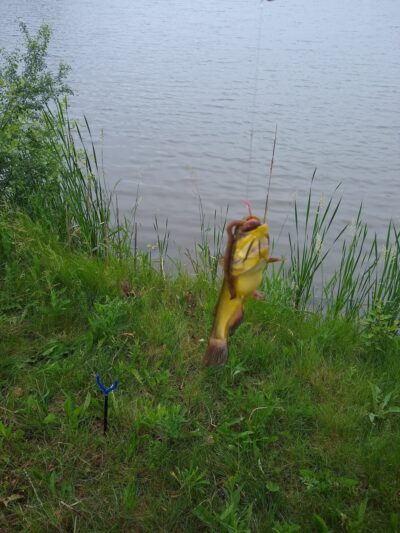 Wilderness Park - Mundelein, IL