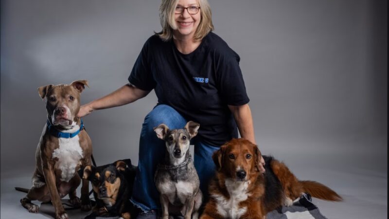 Bark University Inc - Mundelein, IL