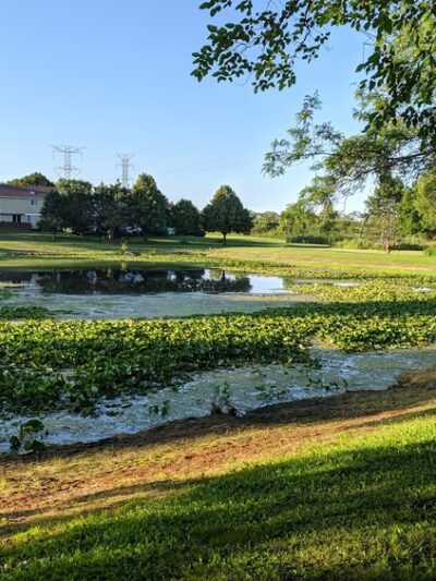 Hanrahan Park - Mundelein, IL