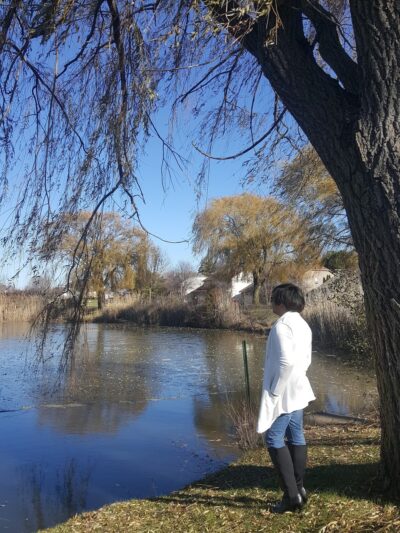 Wilderness Park South - Mundelein, IL