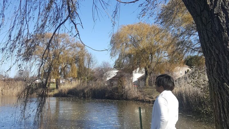 Wilderness Park South - Mundelein, IL
