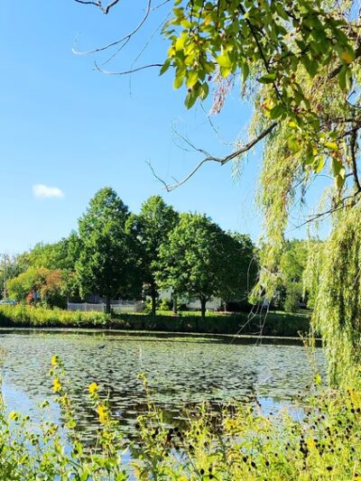 Wortham Park - Mundelein, IL