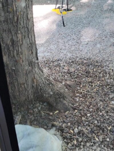 Munds Park RV Resort - Munds Park, AZ