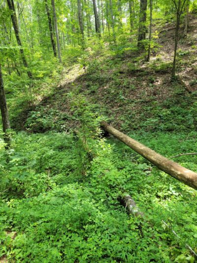 Kentuck OHV Trailhead general location - Munford, AL