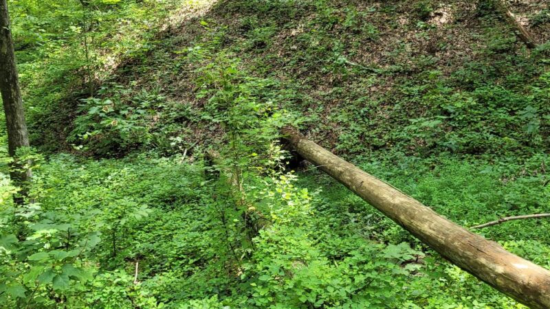 Kentuck OHV Trailhead general location - Munford, AL