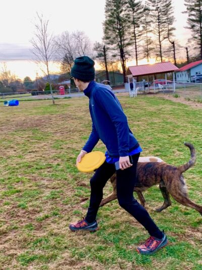 All Creatures Short & Tall - Murphy, NC