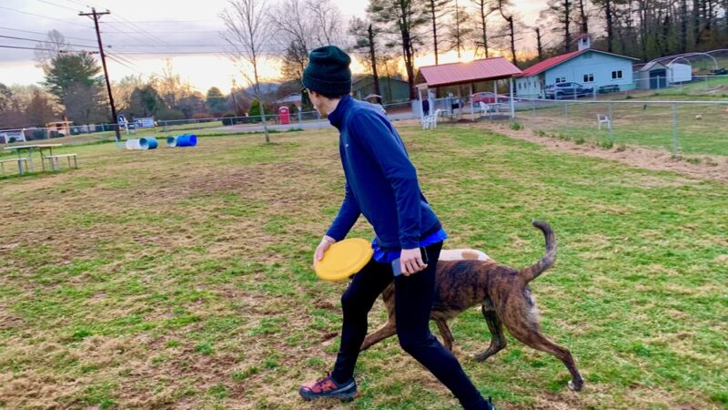All Creatures Short & Tall - Murphy, NC