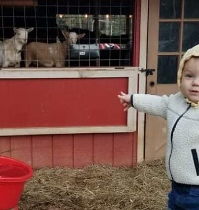 Candy Mountain Goat Farm - Murphy, NC