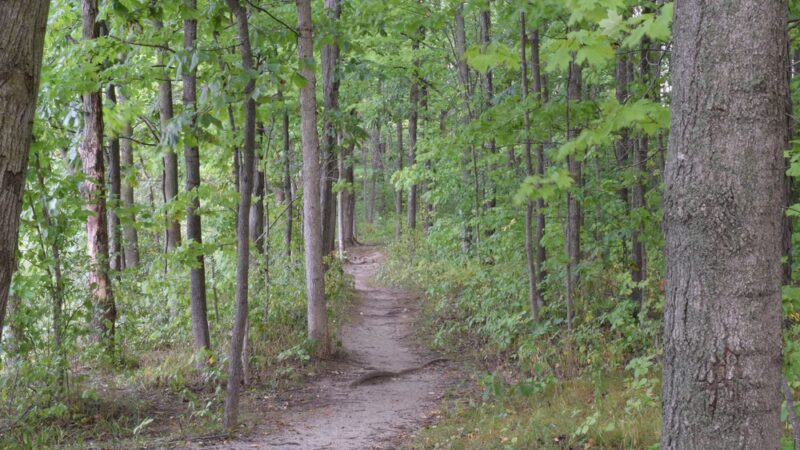 Muskego Park - Muskego, WI