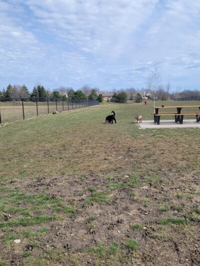 Moorland Park - Muskego, WI