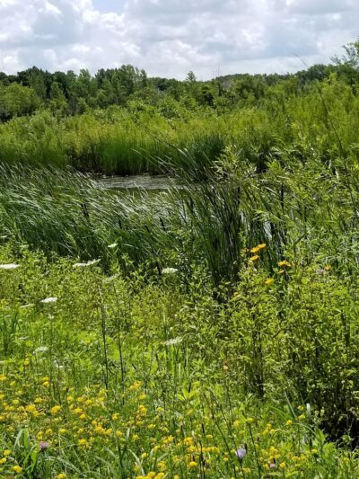 Moorland Park - Muskego, WI