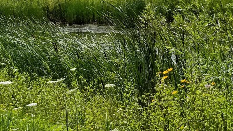 Moorland Park - Muskego, WI
