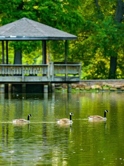 Honor Heights Park - Muskogee, OK