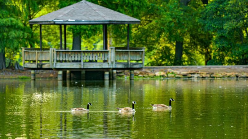 Honor Heights Park - Muskogee, OK