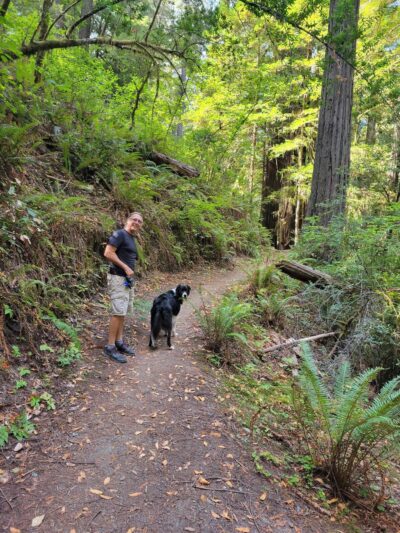 Dry Creek Trail Head - Myers Flat, CA