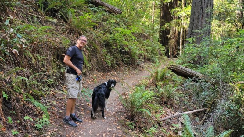 Dry Creek Trail Head - Myers Flat, CA