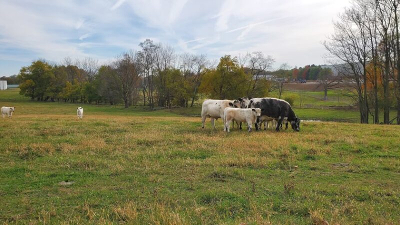 Fairlane Avenue Park Playground - Myerstown, PA